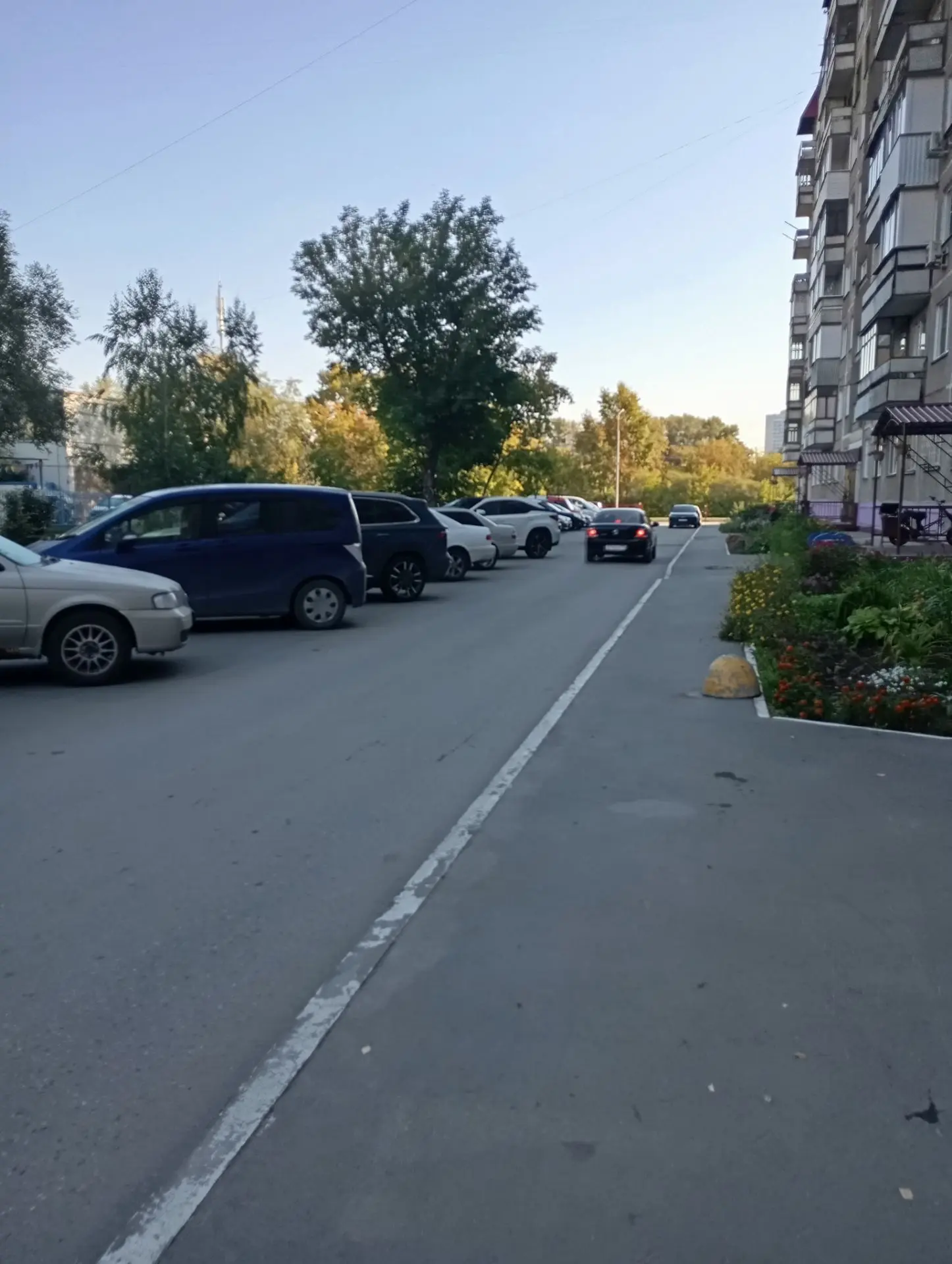 Сегодня занималась шлагбаумами, которые установил 17 дом. Отправили запросы с приложени...