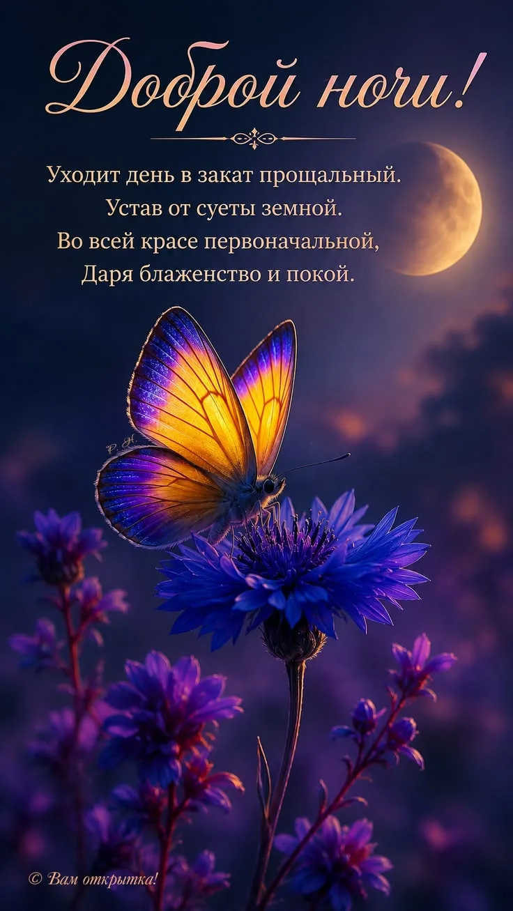 Доброй ночи
