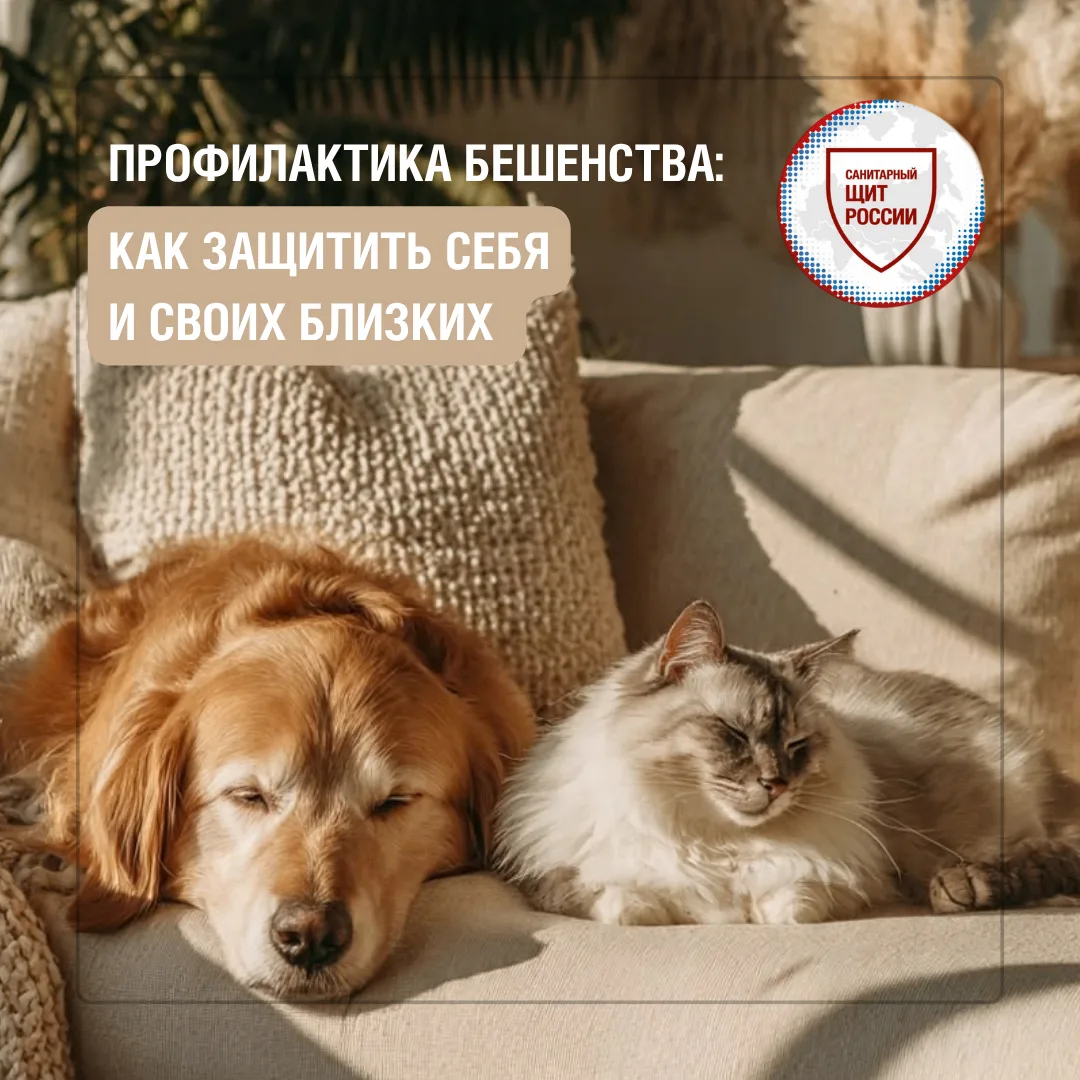 Бешенство – опасное инфекционное заболевание, которое поражает нервную систему🧬. После...