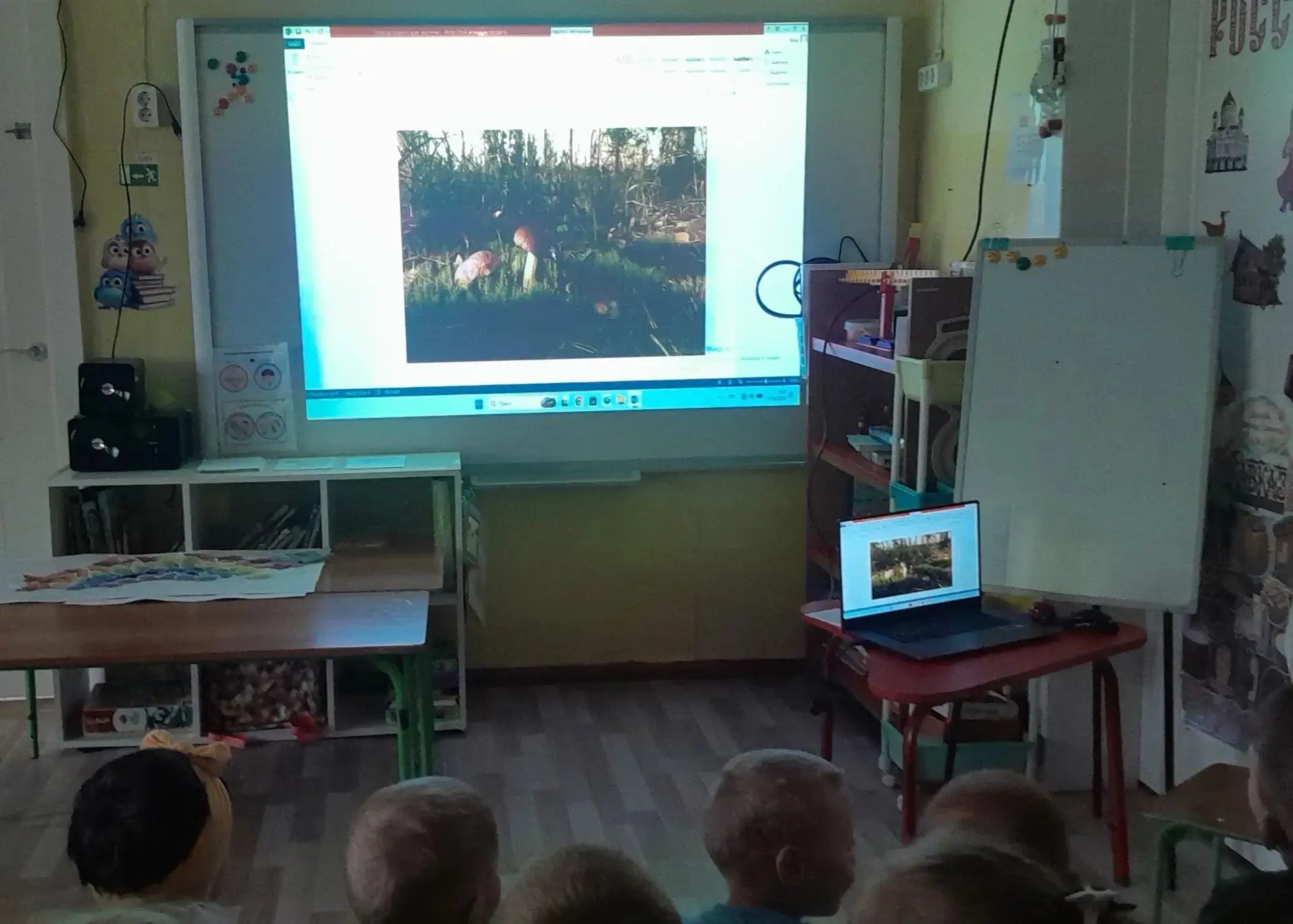 МКДОУ детский сад «Незабудка». "Путешествие в мир природы ". 
 В нашем любимом детском саду жизнь ки