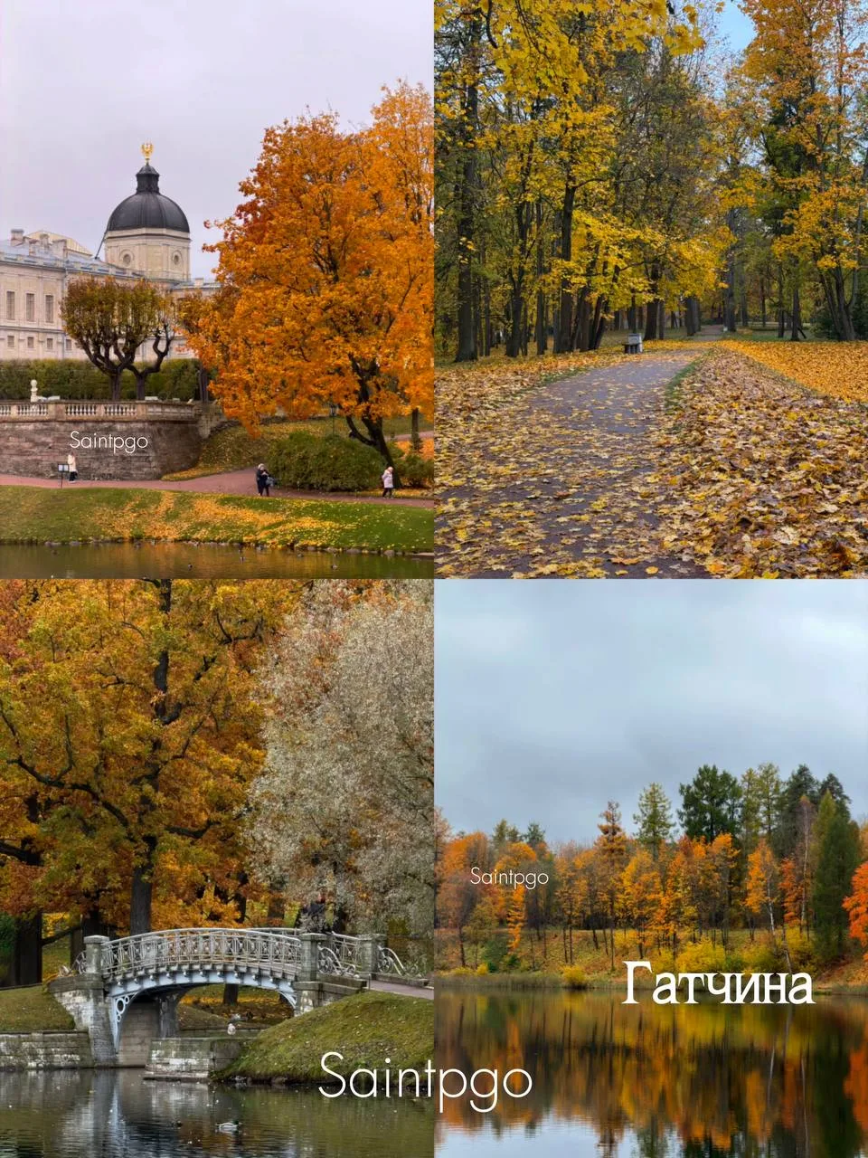 🍂 Осень в Петербурге – время для вдохновения и новых открытий!
