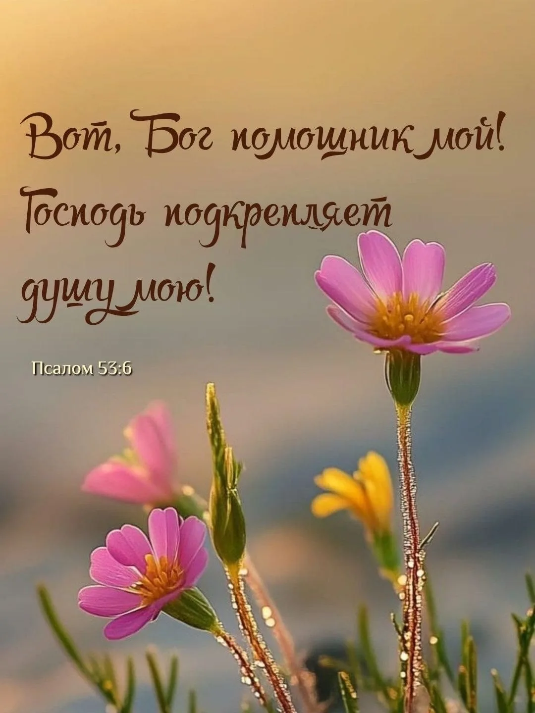 Православные открытки