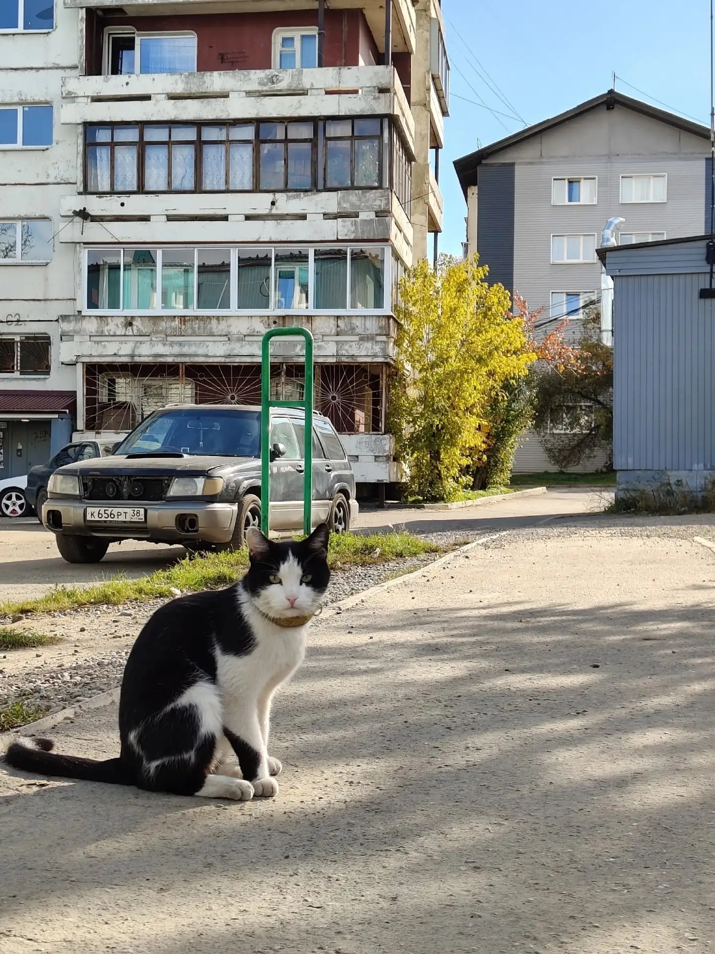 ☀️ Доброе утро, Иркутск!