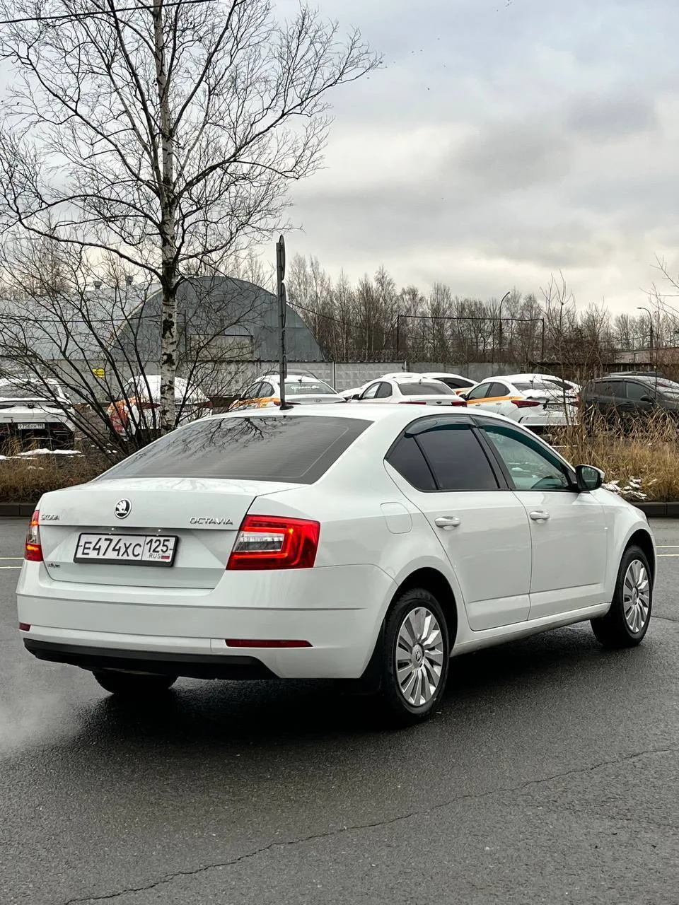 ️😍Новинка  Скидка 20.000₽ при брони до 19 мая  SKODA OCTAVIA   ▪️ Год выпуска — 2019 ▪️ 1.6 | автома