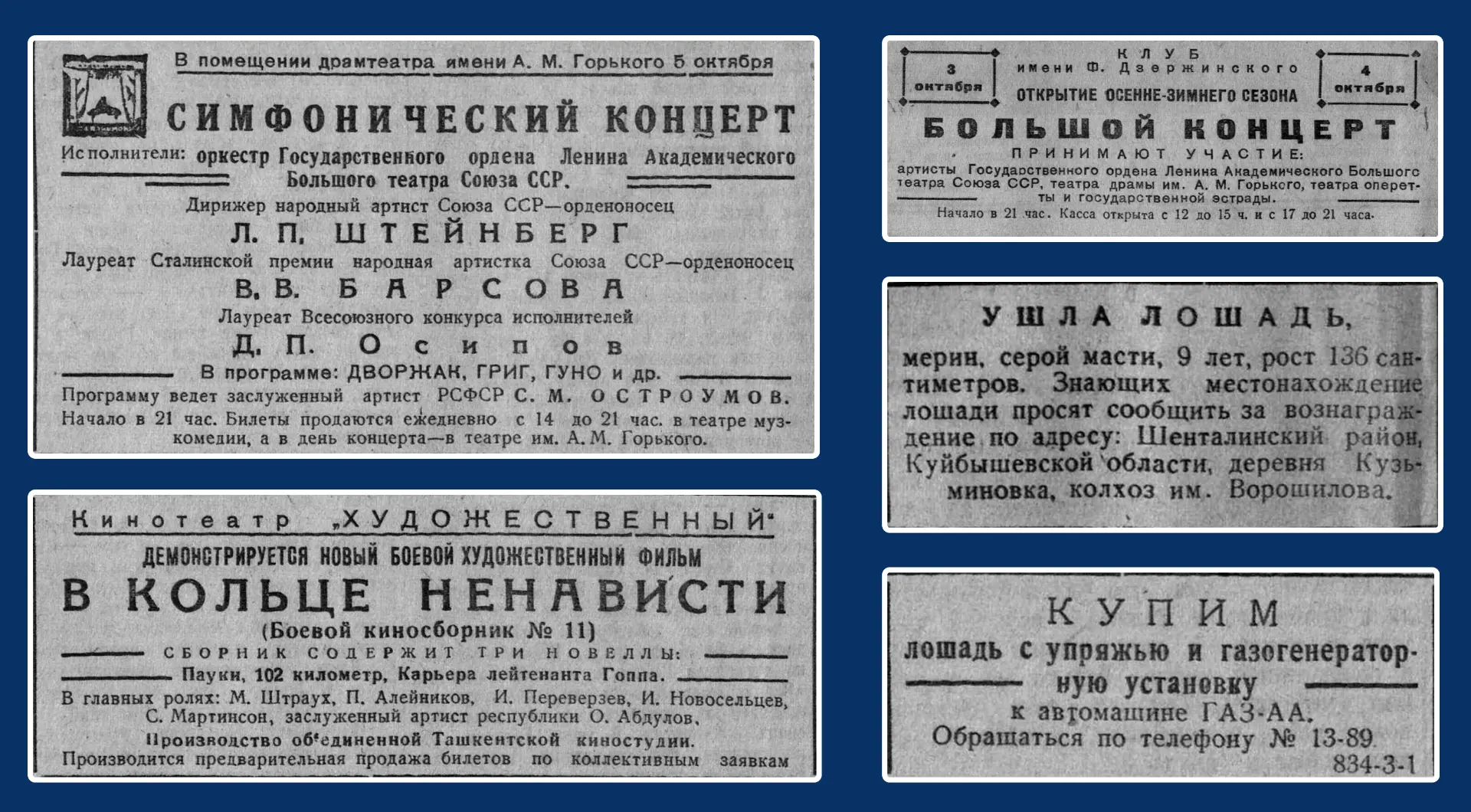 🐴 «Ушла лошадь. Мерин, серой масти...»