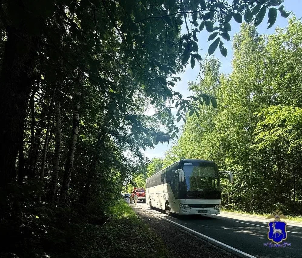 ДТП с детьми в Самарской области 🚌  Сегодня в Ставропольском районе столкнулись автобус с 44 детьми 