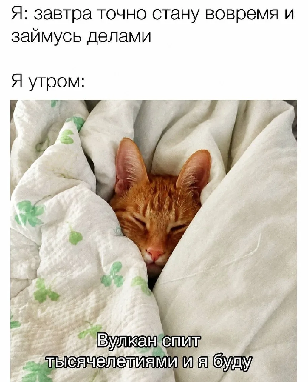 Мемы в MAX