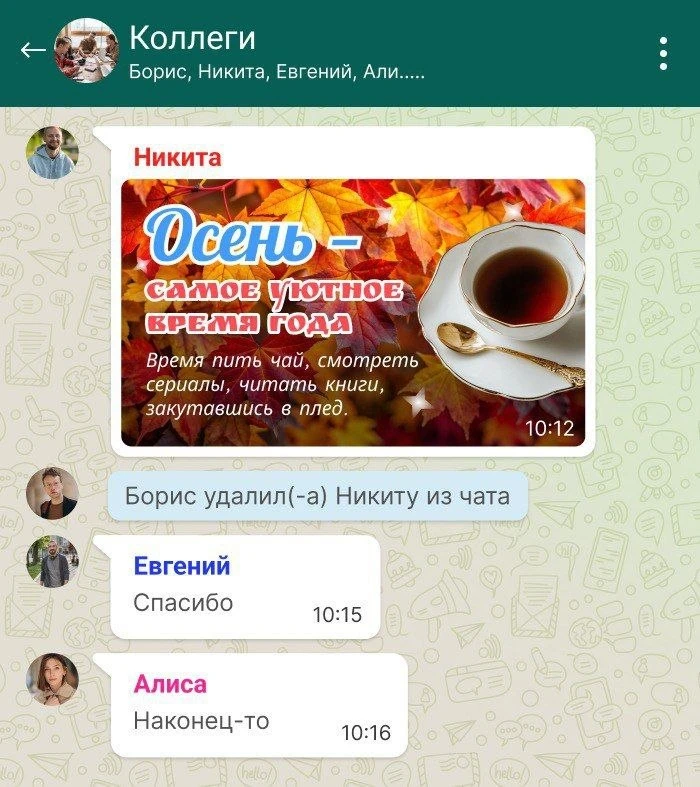 Никита: "Наконец-то, меня удалили из сраного рабочего чата, задолбался эти открытки из ...