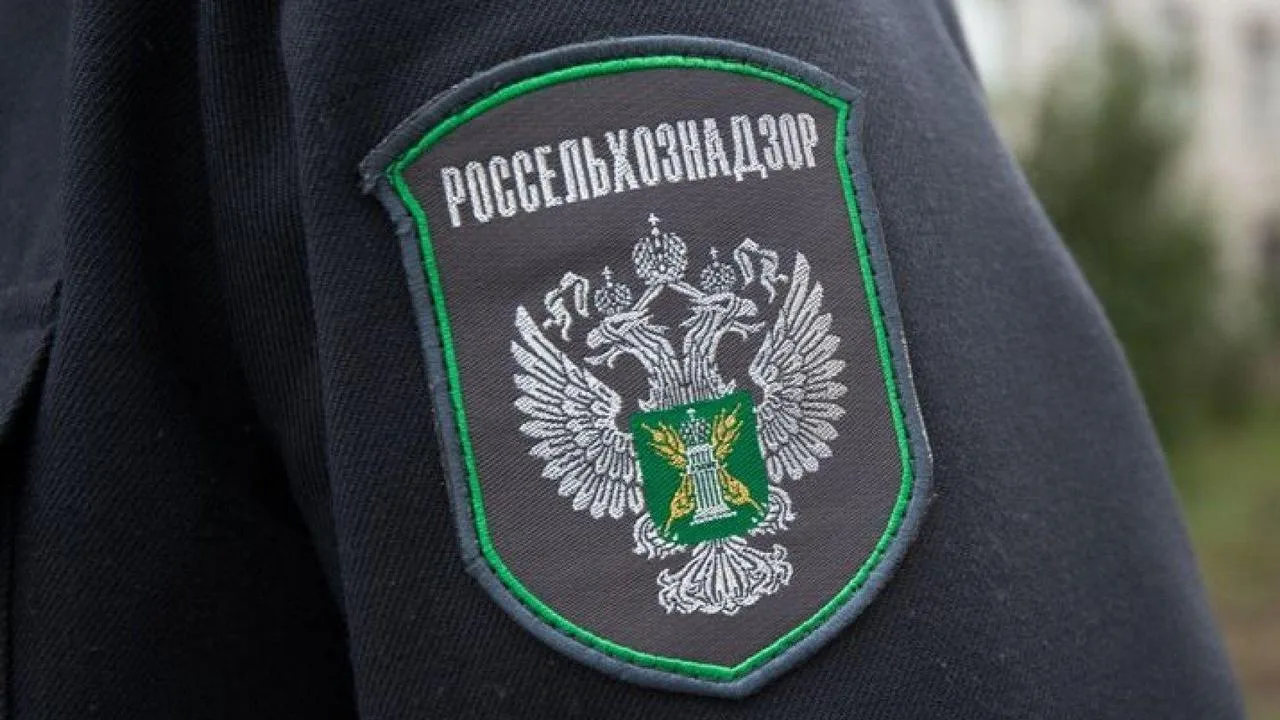 Фермер в Карелии привлечена к ответственности за нарушения ветеринарного законодательст...