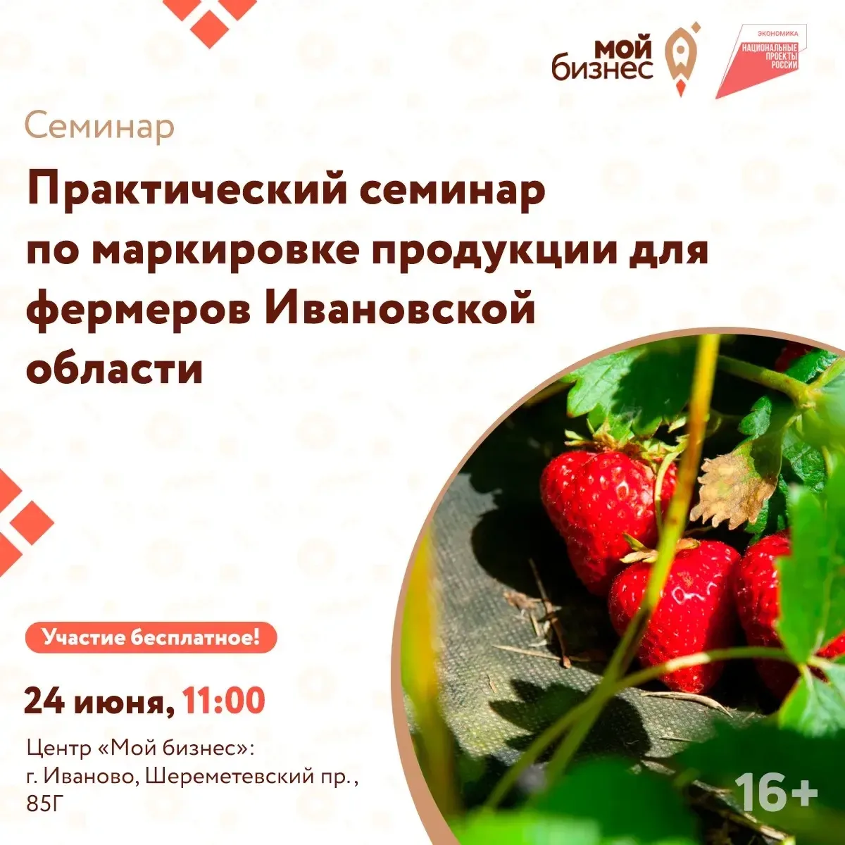 Центр «Мой бизнес» приглашает ивановских фермеров на практический семинар по маркировке продукции
 
