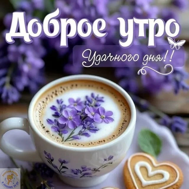 Пусть утро порадует теплом, улыбками и хорошими новостями. Всем доброго утра! 🌸