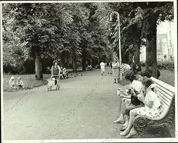 Парк им. В.И. Ленина. Липовая аллея 1972 год.