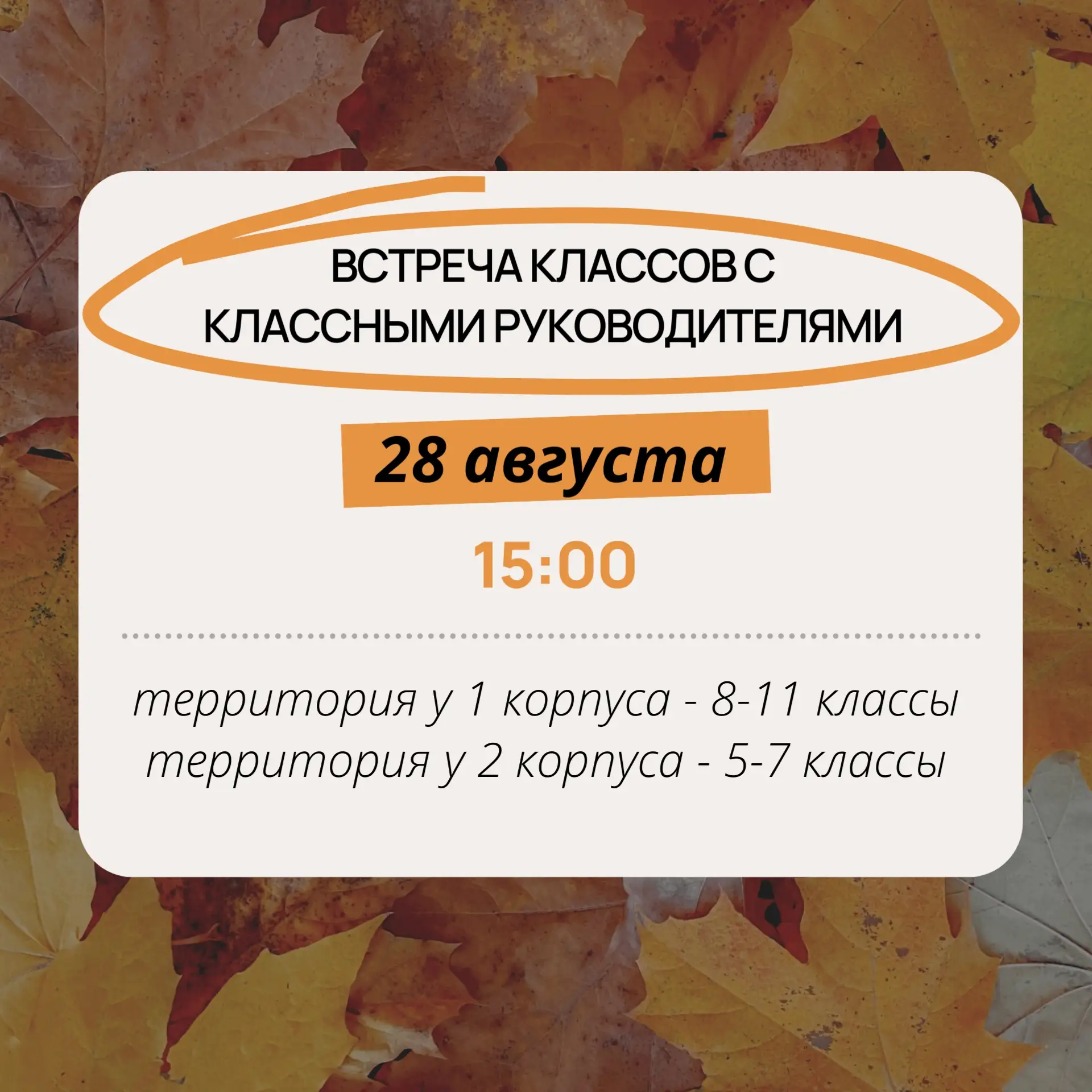🍂Лето подходит к концу, а это значит, что пора увидеться всем классом!🍂