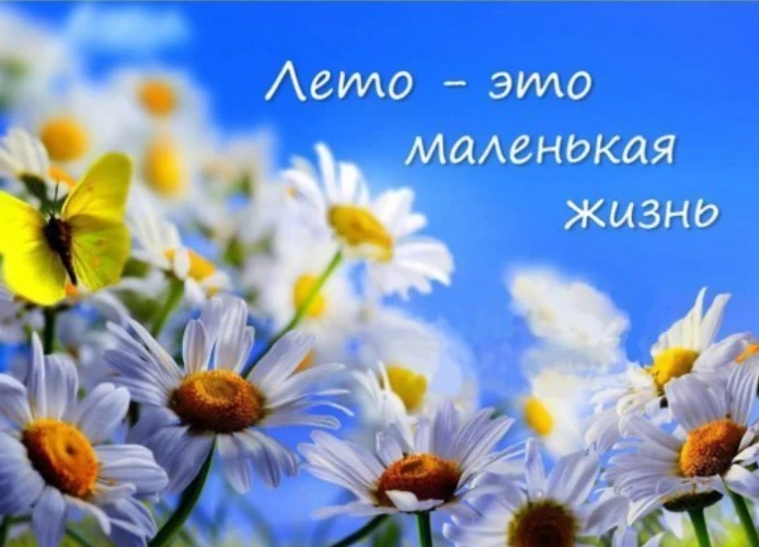 Лето — это маленькая жизнь: солнце, каникулы и вечера на природе!

Дети проводят много времени на ул