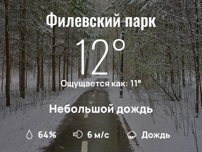 Что с погодой в Филевском парке?