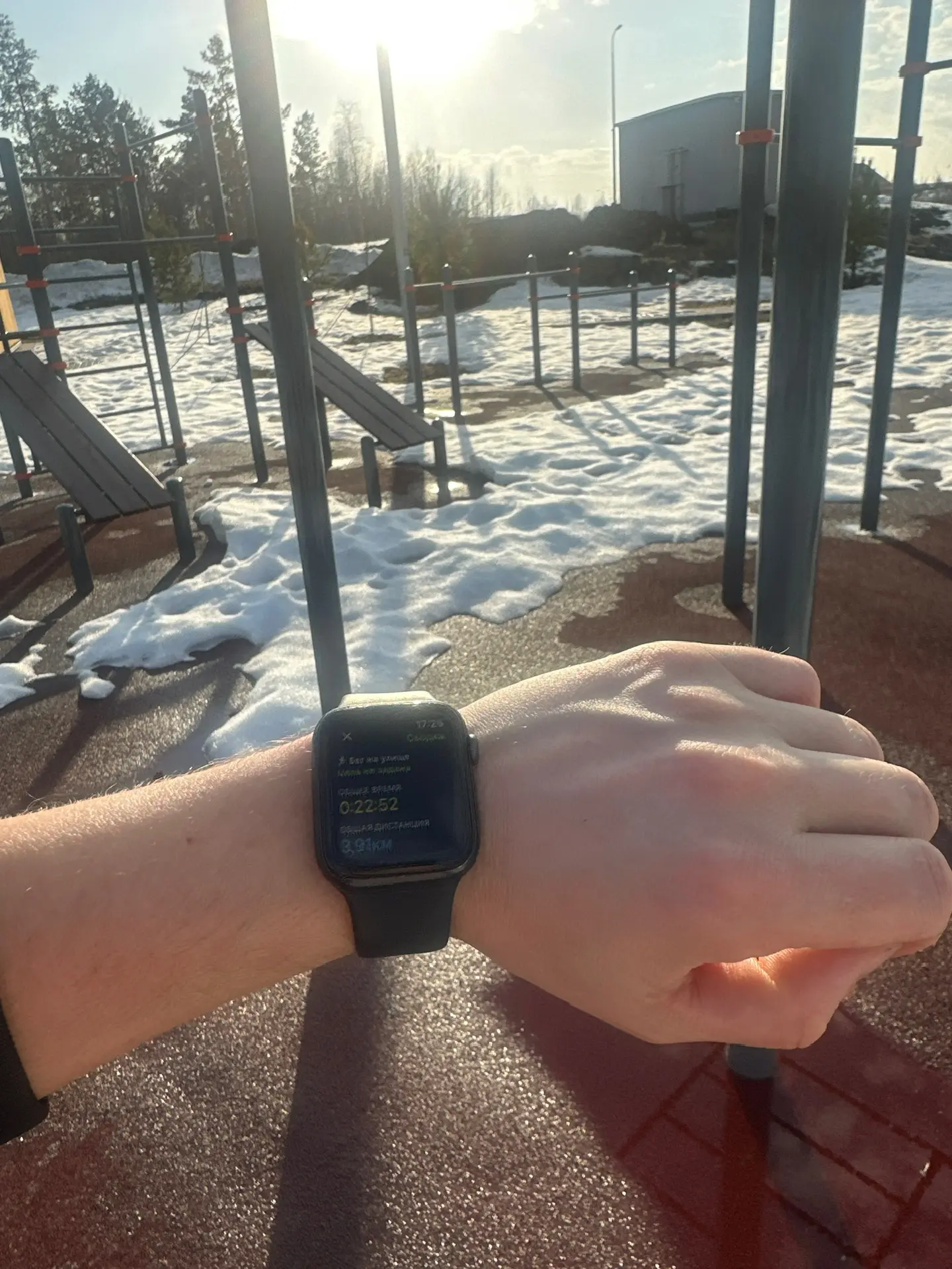 Получается подснежник?
