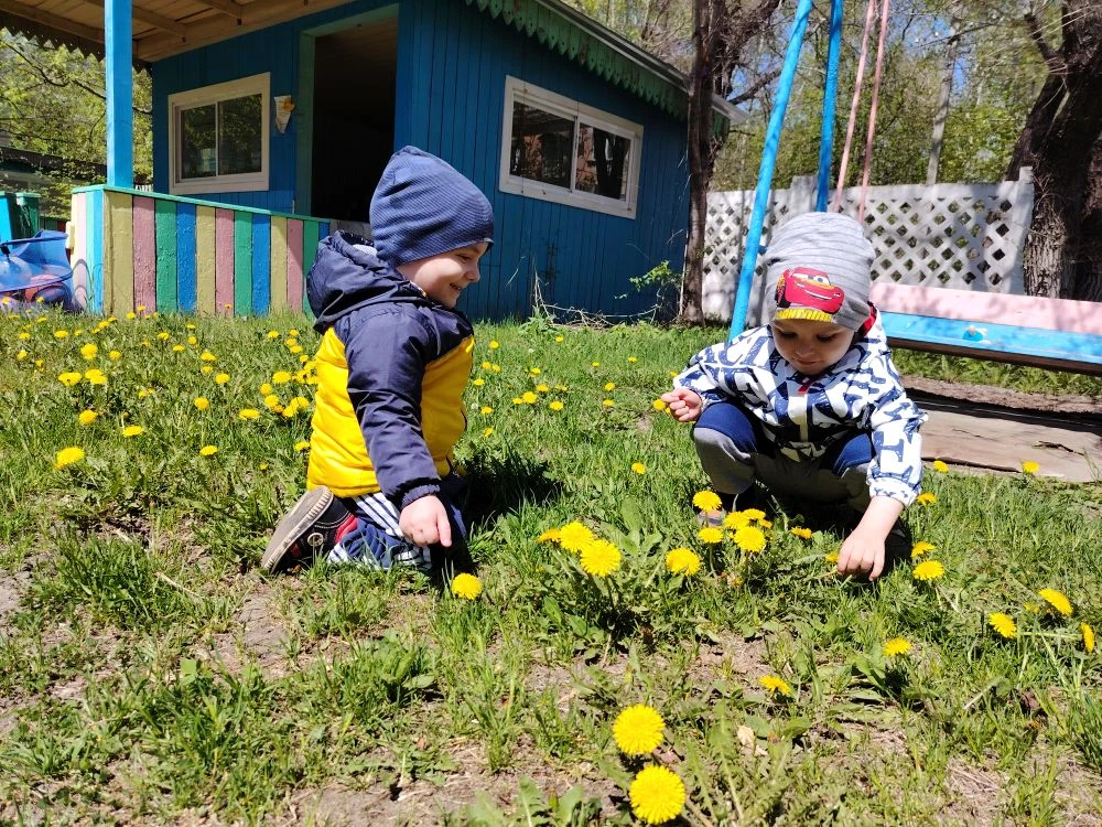 Давайте попробуем угадать про какое растение мы сейчас вам расскажем 😁