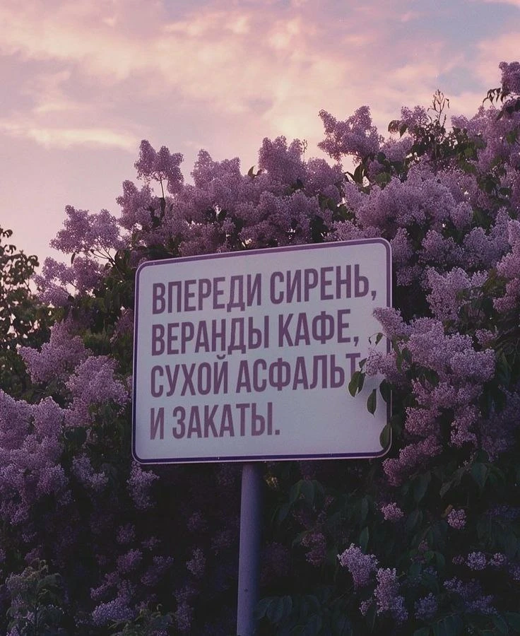 @dofamin_tg