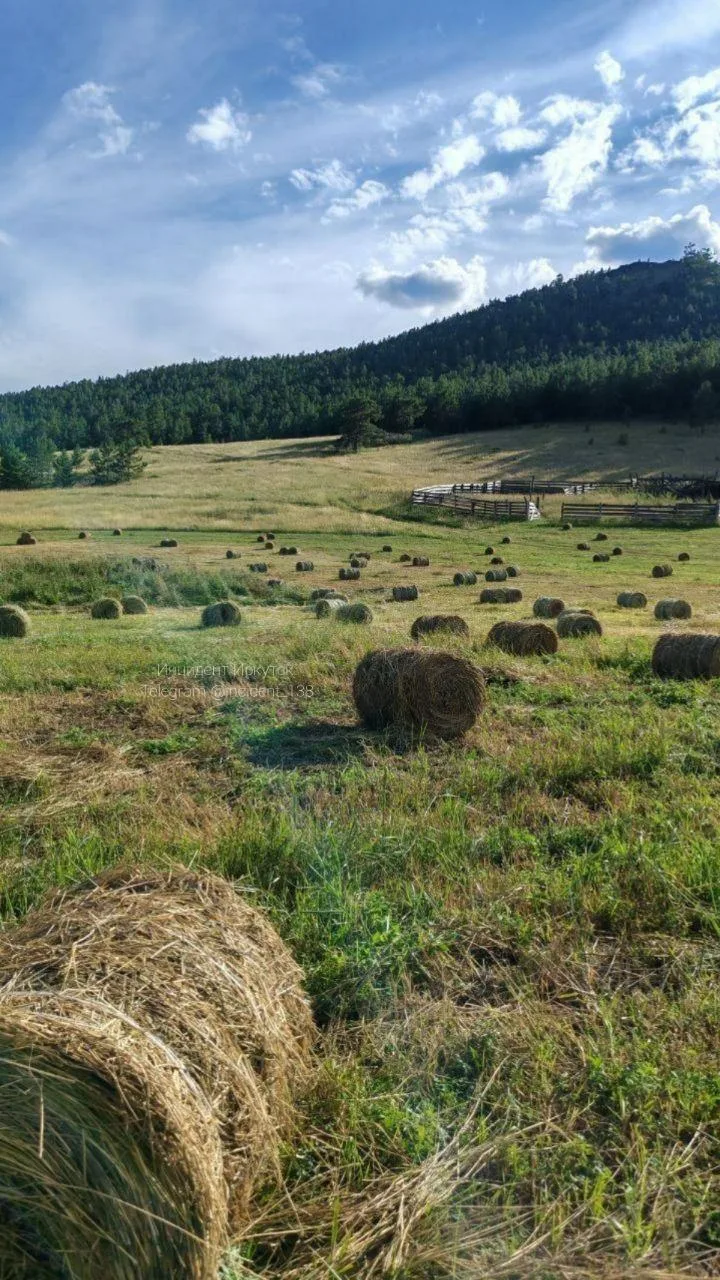 Видели такие рулоны сена на полях? Это лето потихоньку сворачивают 🍃🍂