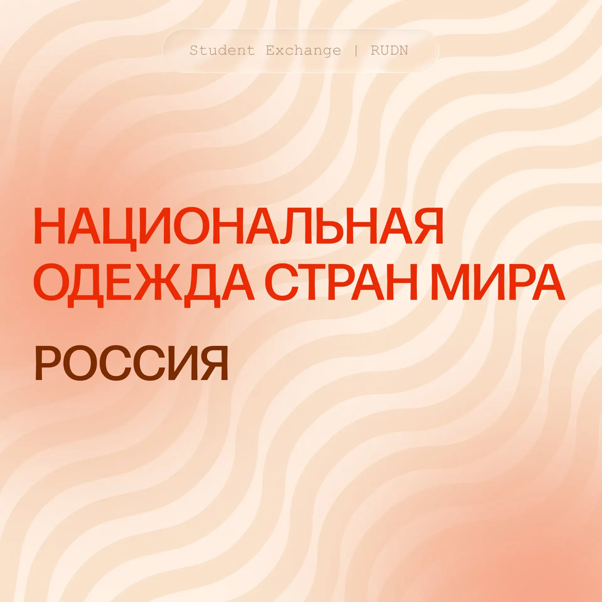А что это за костюм ❔