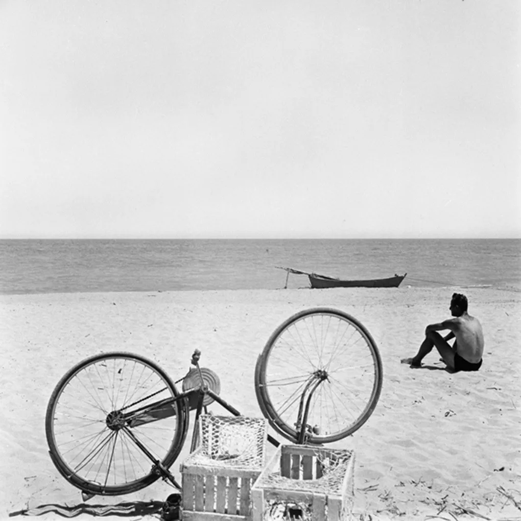 Адриатика, 1957 год
