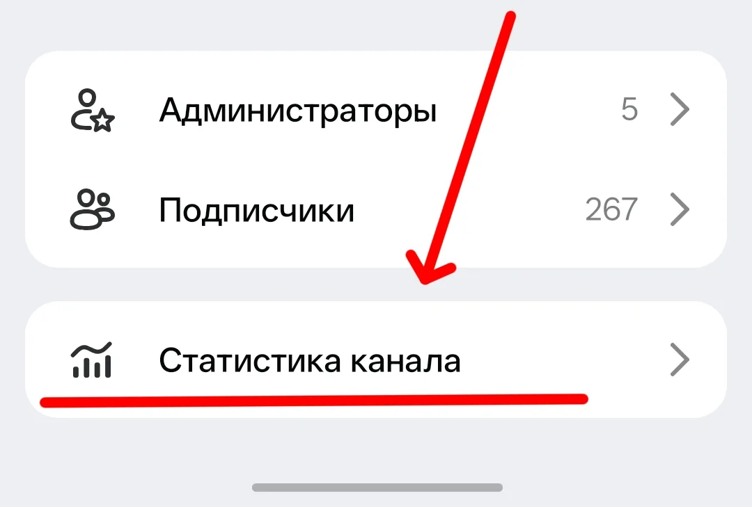 Статистика в каналах MAX.