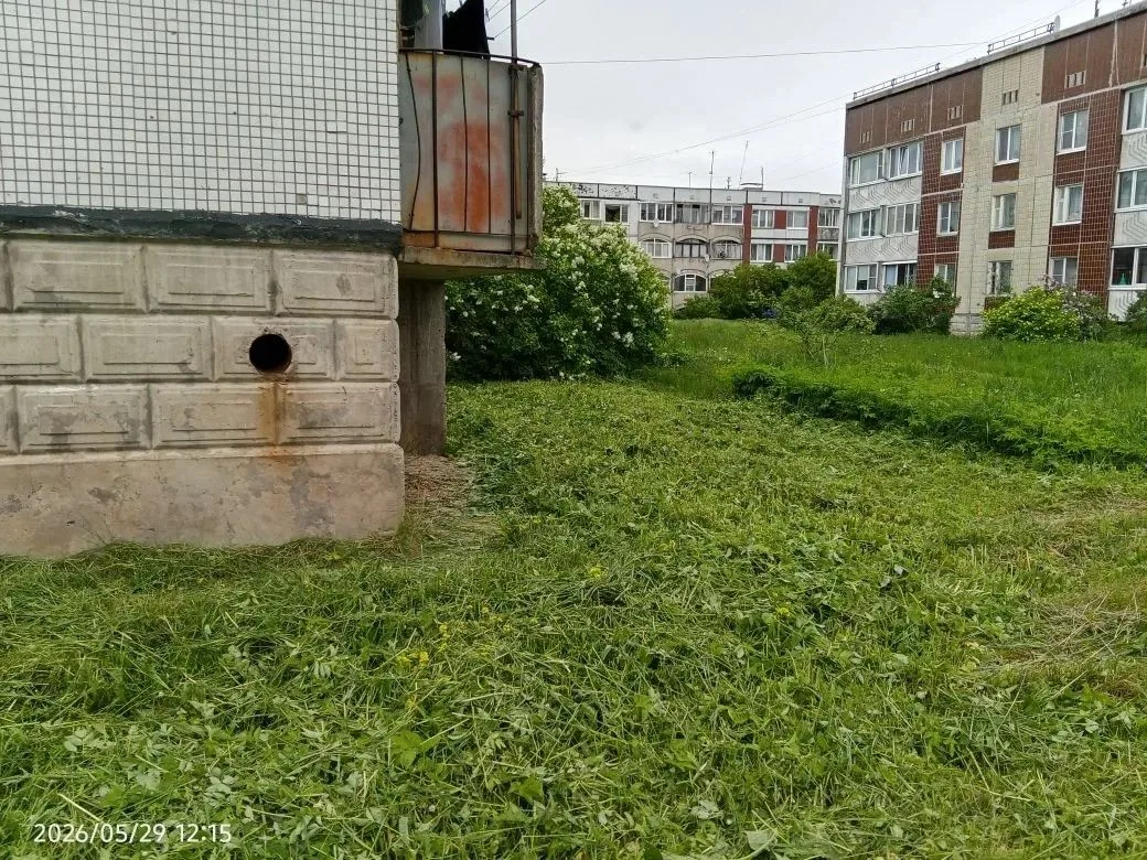 Покос в Рождествено.