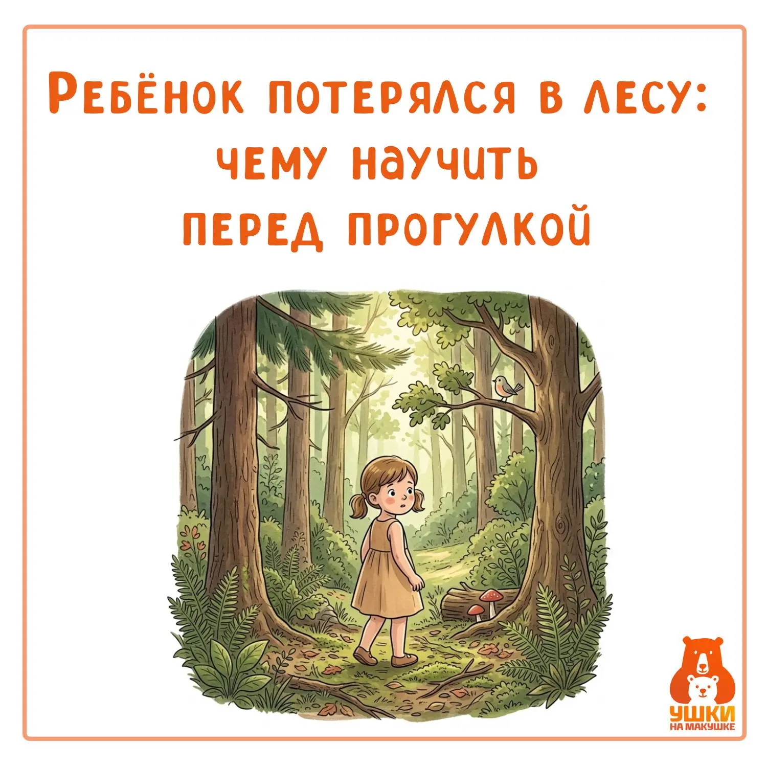 🌲🌲 Ребёнок потерялся в лесу: чему научить перед прогулкой

Лес — это красиво, но это не парк, не