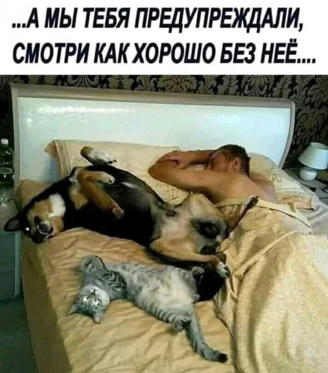 Юмор | Приколы | Мемы 👇🏻