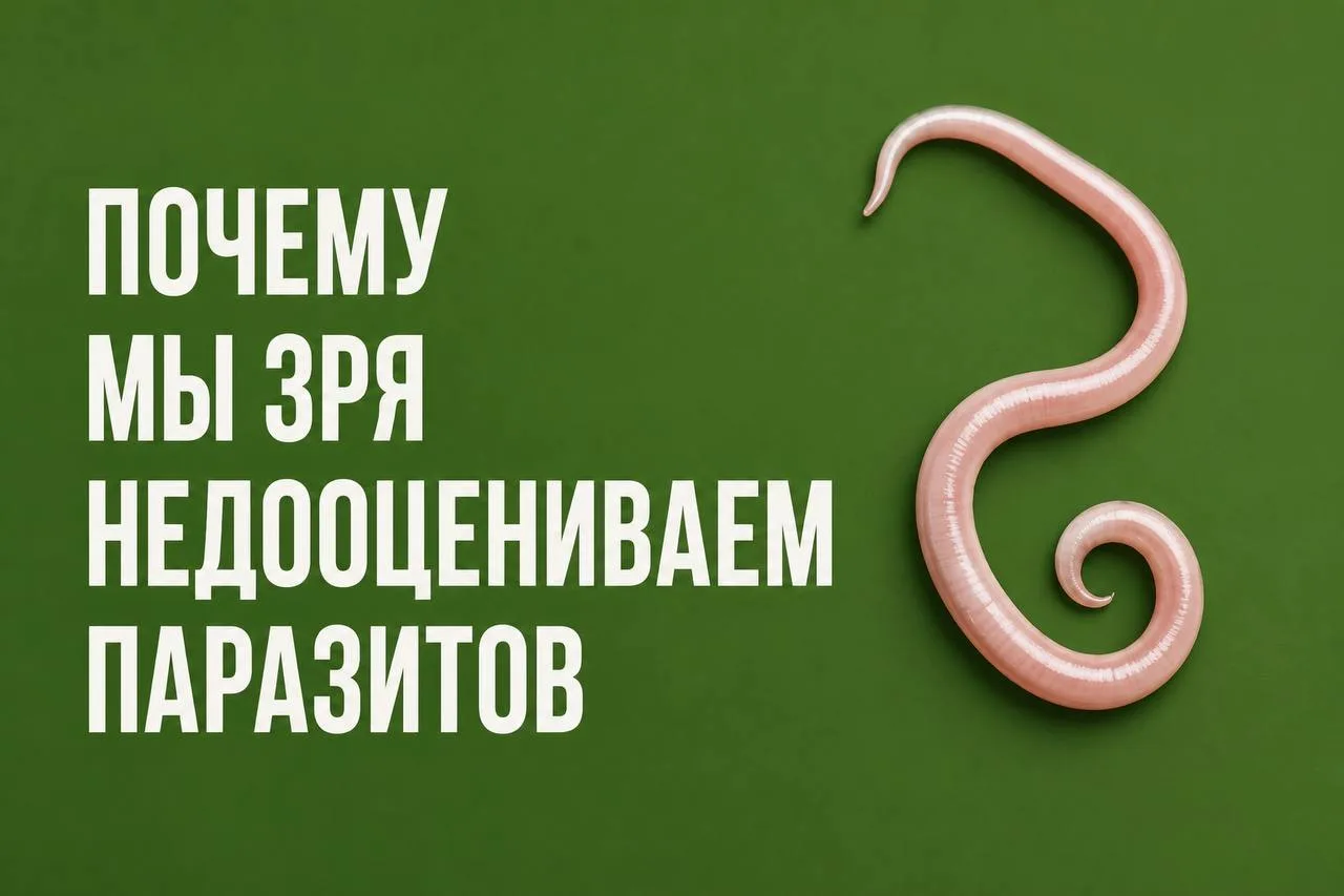 🪱 «У меня точно никого нет!». Почему мы зря недооцениваем паразитов  Друзья, давайте честно: когда з
