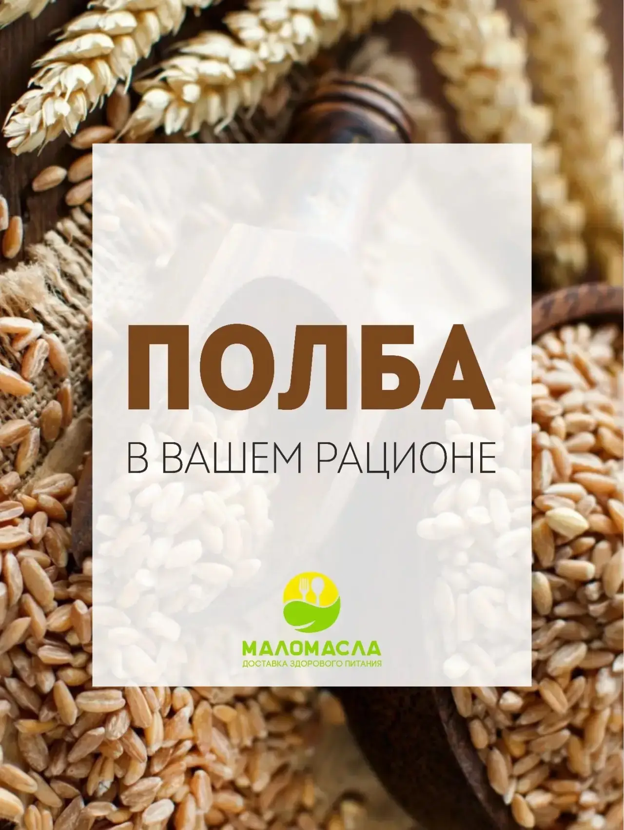 🌾 Полба: забытая древняя культура, которая возвращается

Полба - прародительница современной пшениц