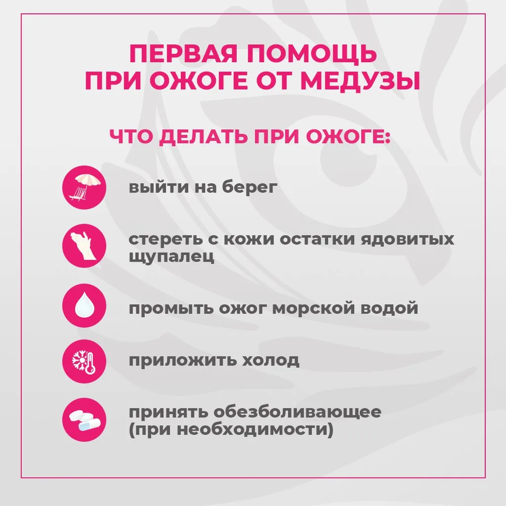 🏖На пляжах Приморья начали появляться медузы-крестовики. Чтобы не омрачить отдых и зна...