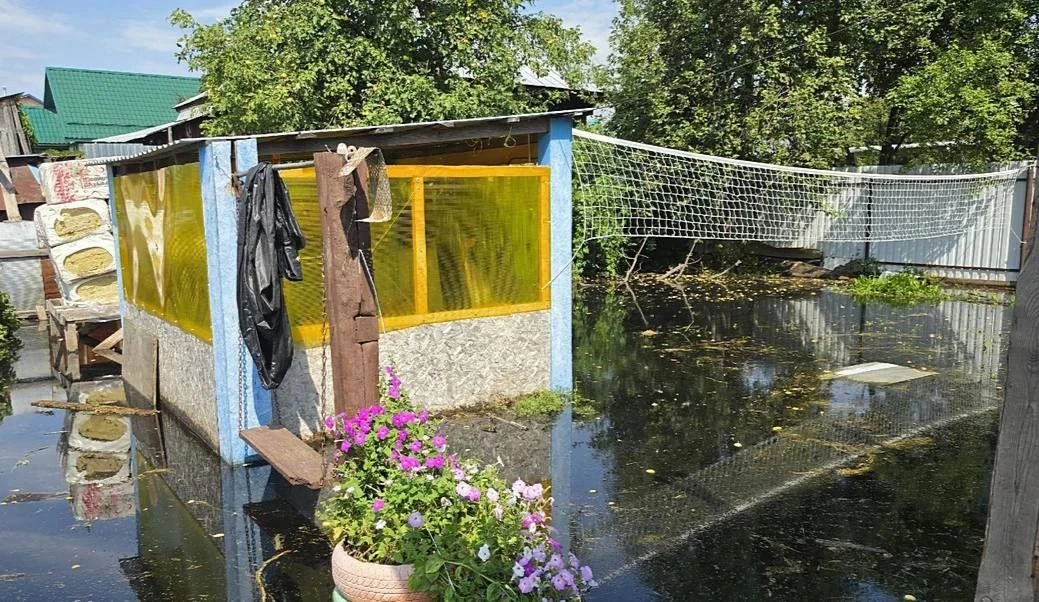 В Шадринском округе жители потеряли урожай из-за подъема воды в Исети

В селе Малая Погорелка участк