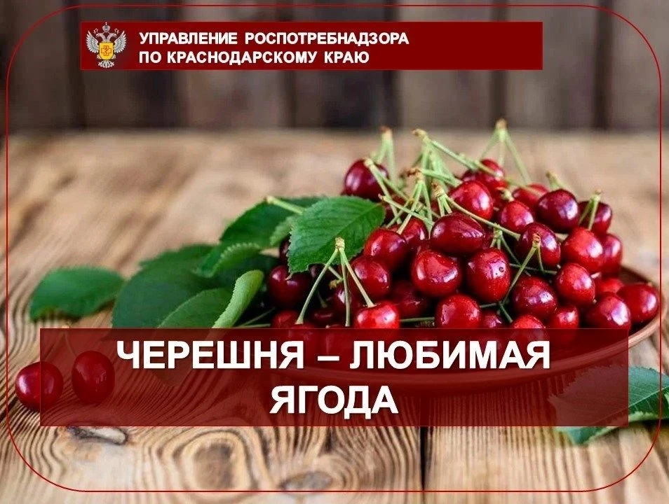 Черешня - любимая ягода