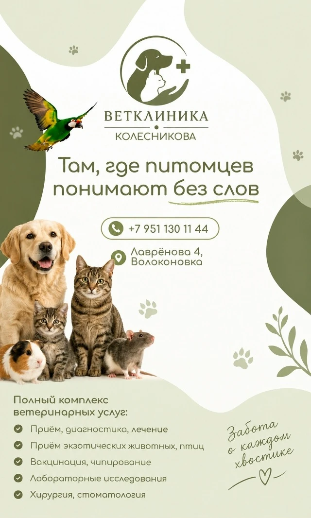 🎉 Открылась ветеринарная клиника!