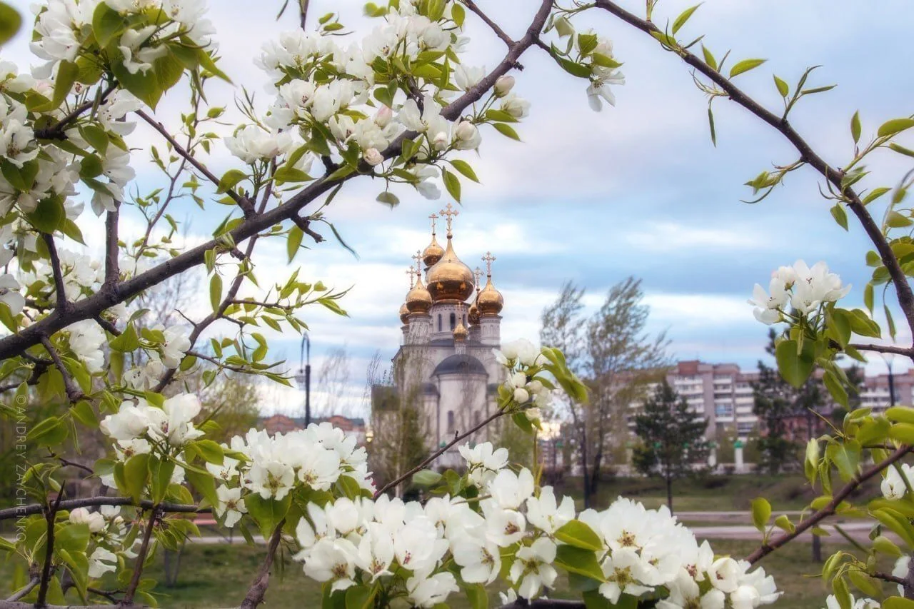 ЛЮБИМОМУ АБАКАНУ ИСПОЛНИЛОСЬ 95 ЛЕТ Сегодня, 30 апреля, город Абакан отмечает 95 лет со дня получени