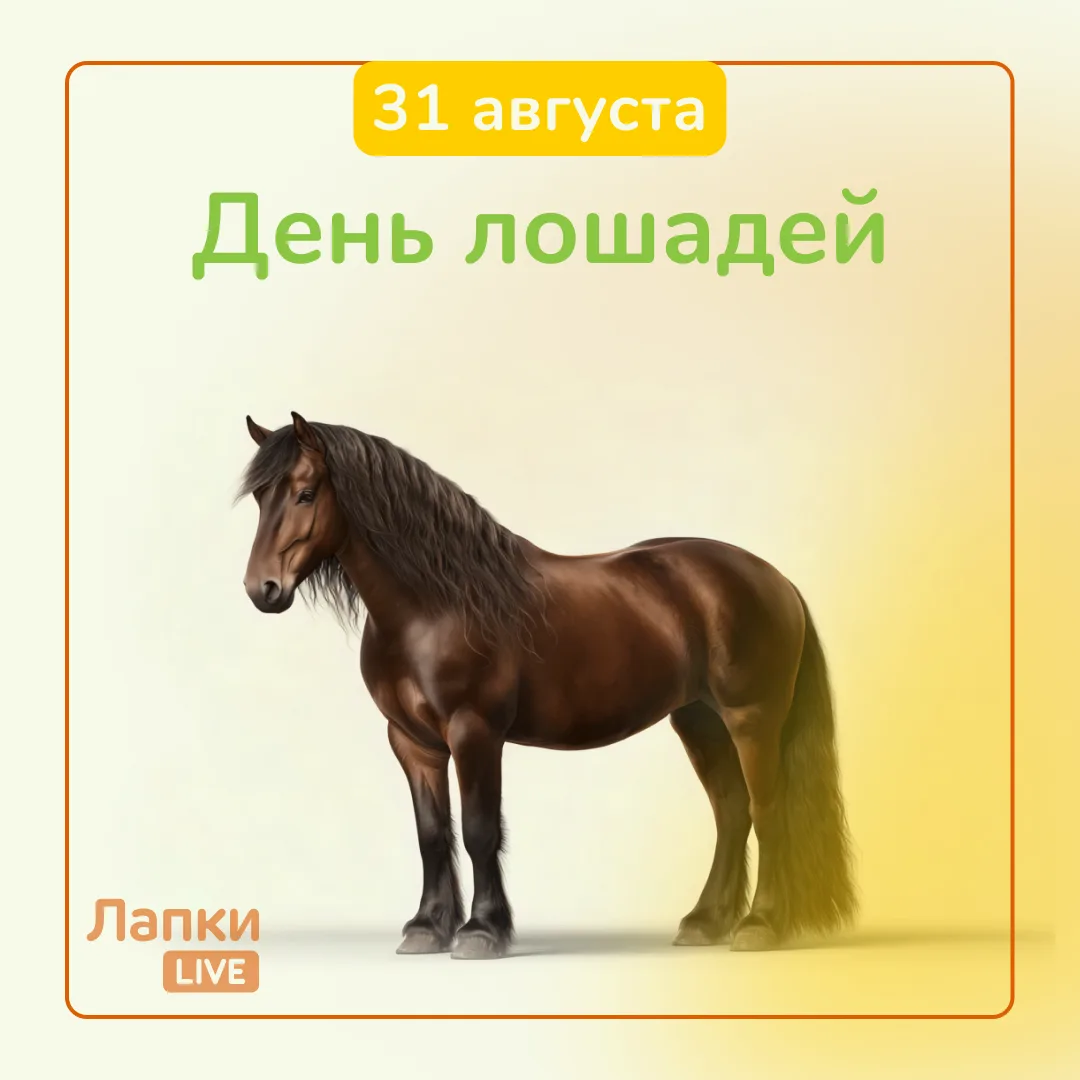 🐴 31 августа — День лошадей. В честь праздника делимся несколькими удивительными факта...