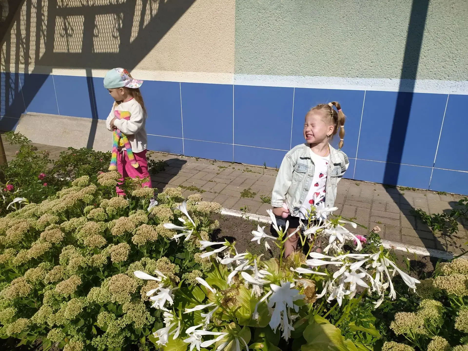 "Дары лета". Это тема, которая помогает сформировать представление о времени года, закр...