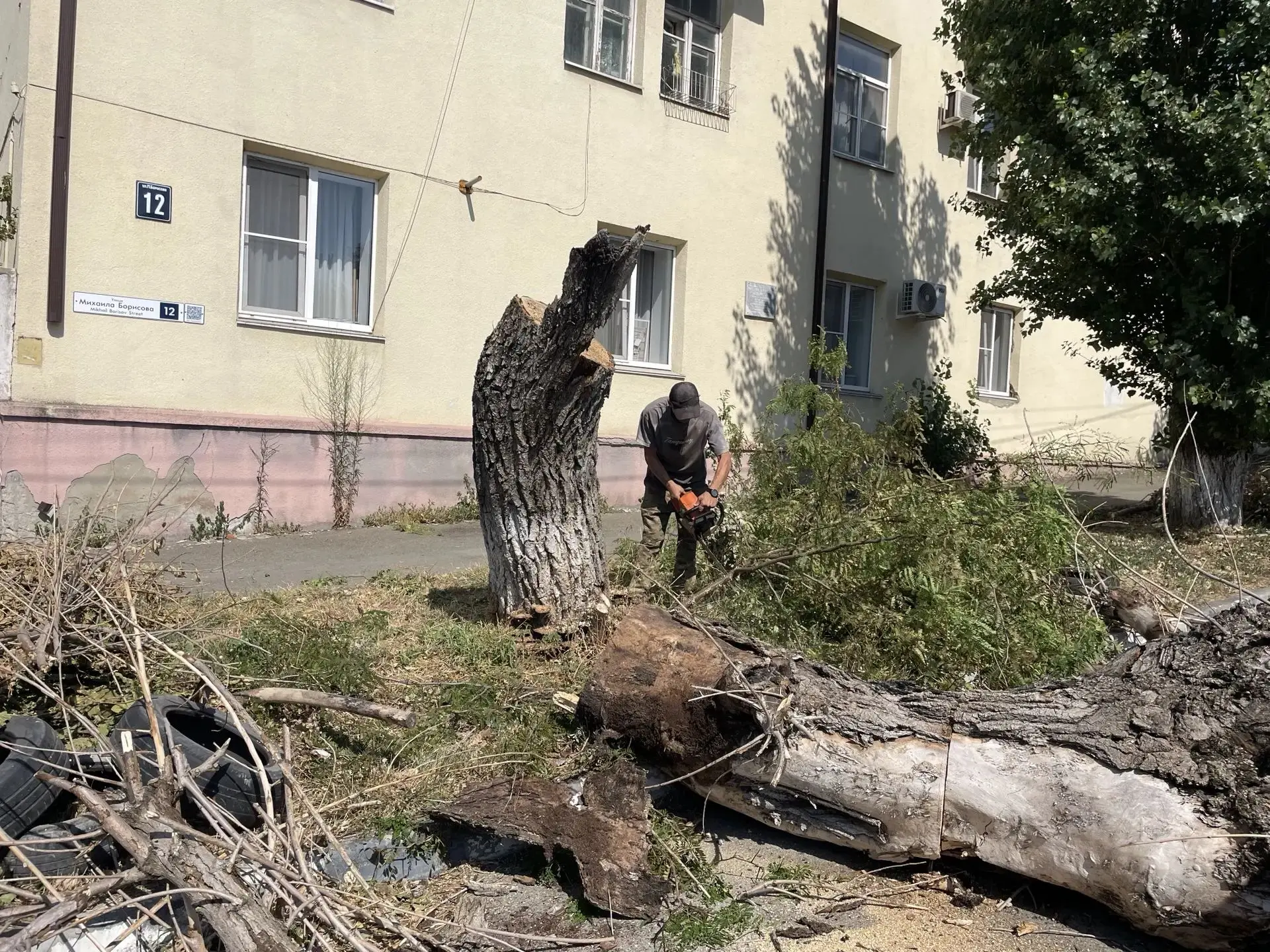 На территории Восточного района продолжаются работы по кронированию деревьев связанных ...