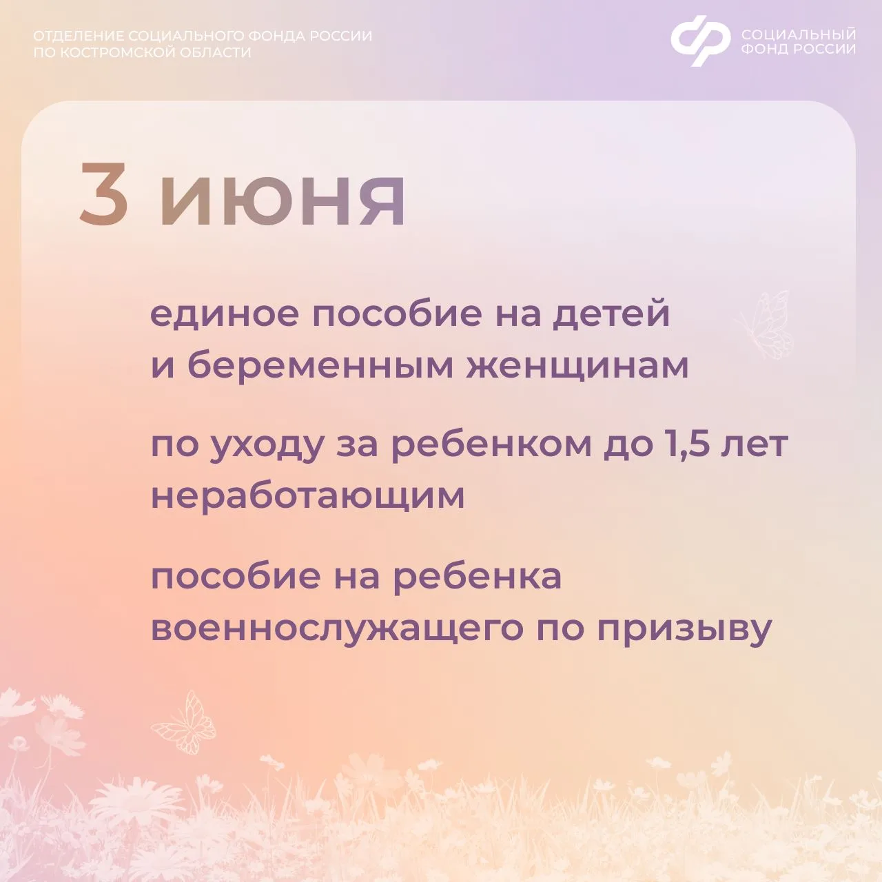Изображение 2 к публикации «Социальный фонд России по Костромской области»