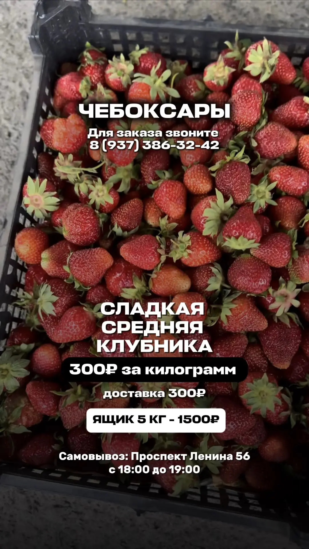 Выбирайте😉
ЗАВТРА БУДЕТ ДОСТАВКА🍓🍓🍓