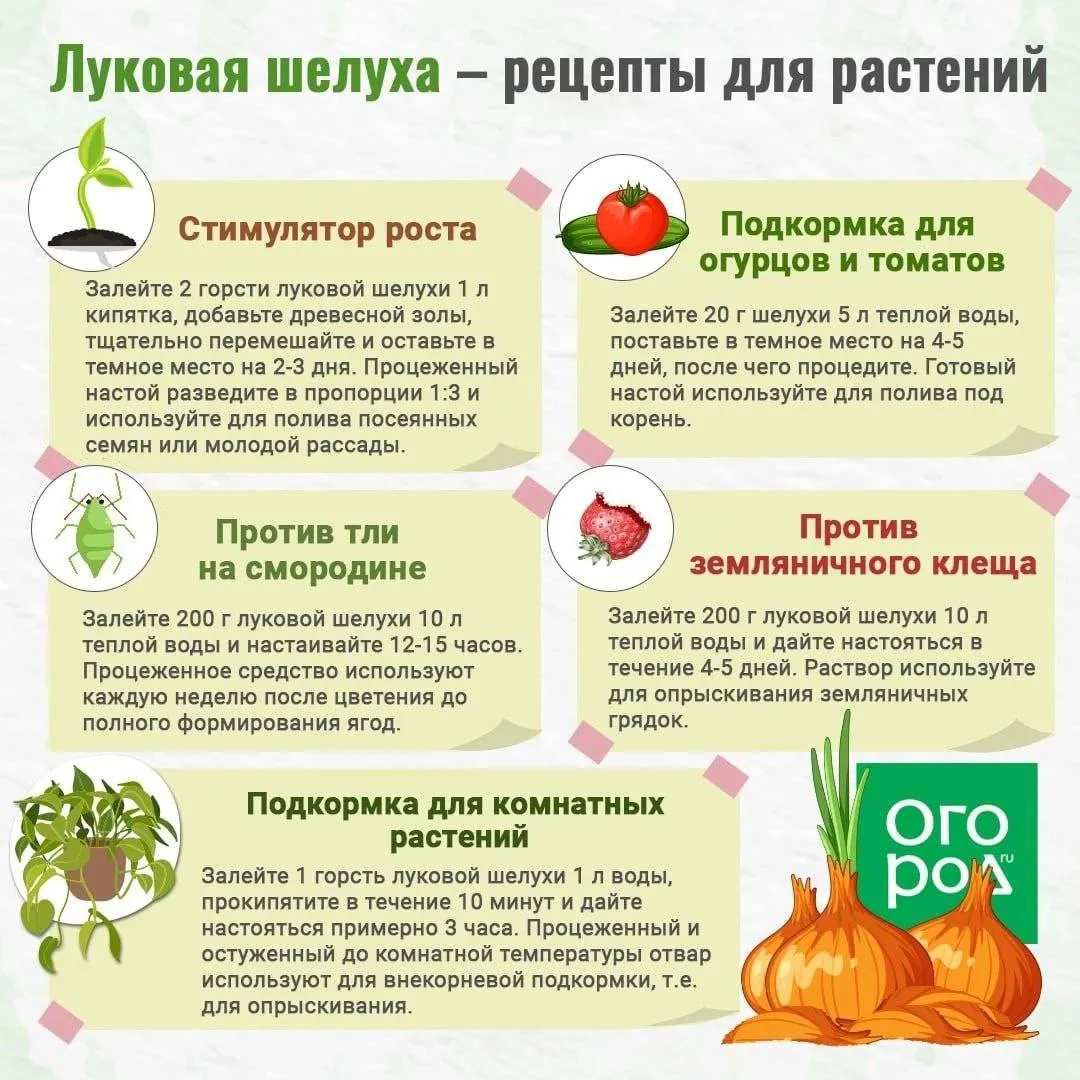 Берём на заметку

Дачный советник
