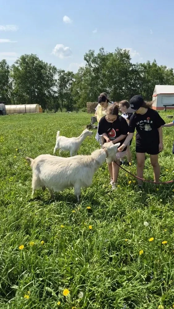 ☀️💛 Ребята 4в класса посетили центр Соколиной охоты. Увлекательный квест, лекция в музее, знакомство