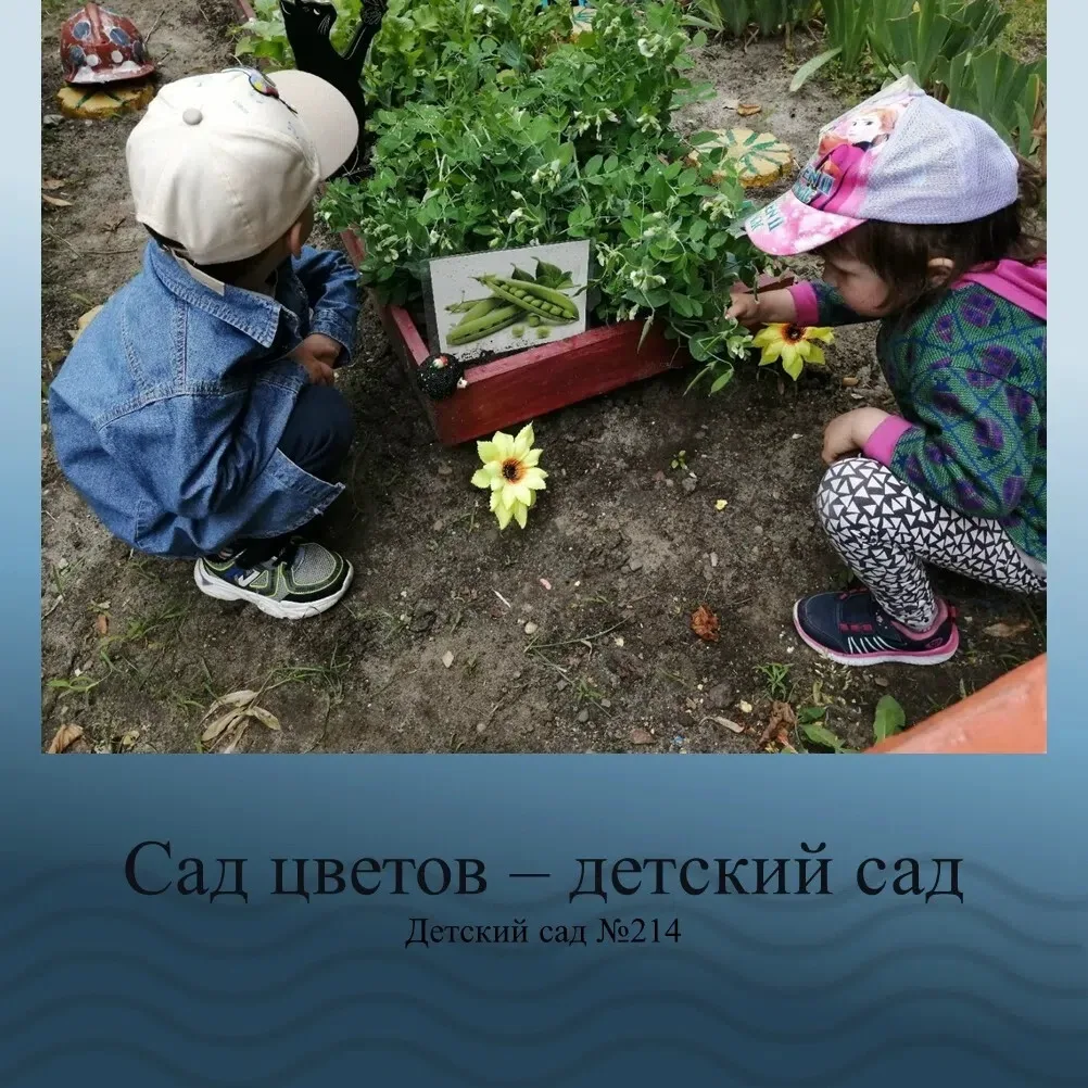 МАДОУ МО г. Краснодар «Детский сад №214» с удовольствием продолжает участие в V Всероссийском летнем