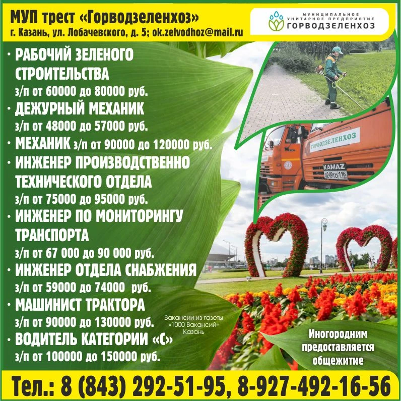 📲 88432925195
