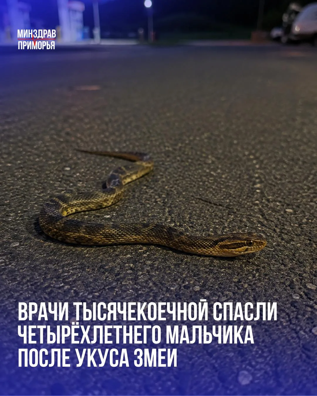 Семья из Большого Камня возвращалась с отдыха на море и остановилась на заправке. Выход...