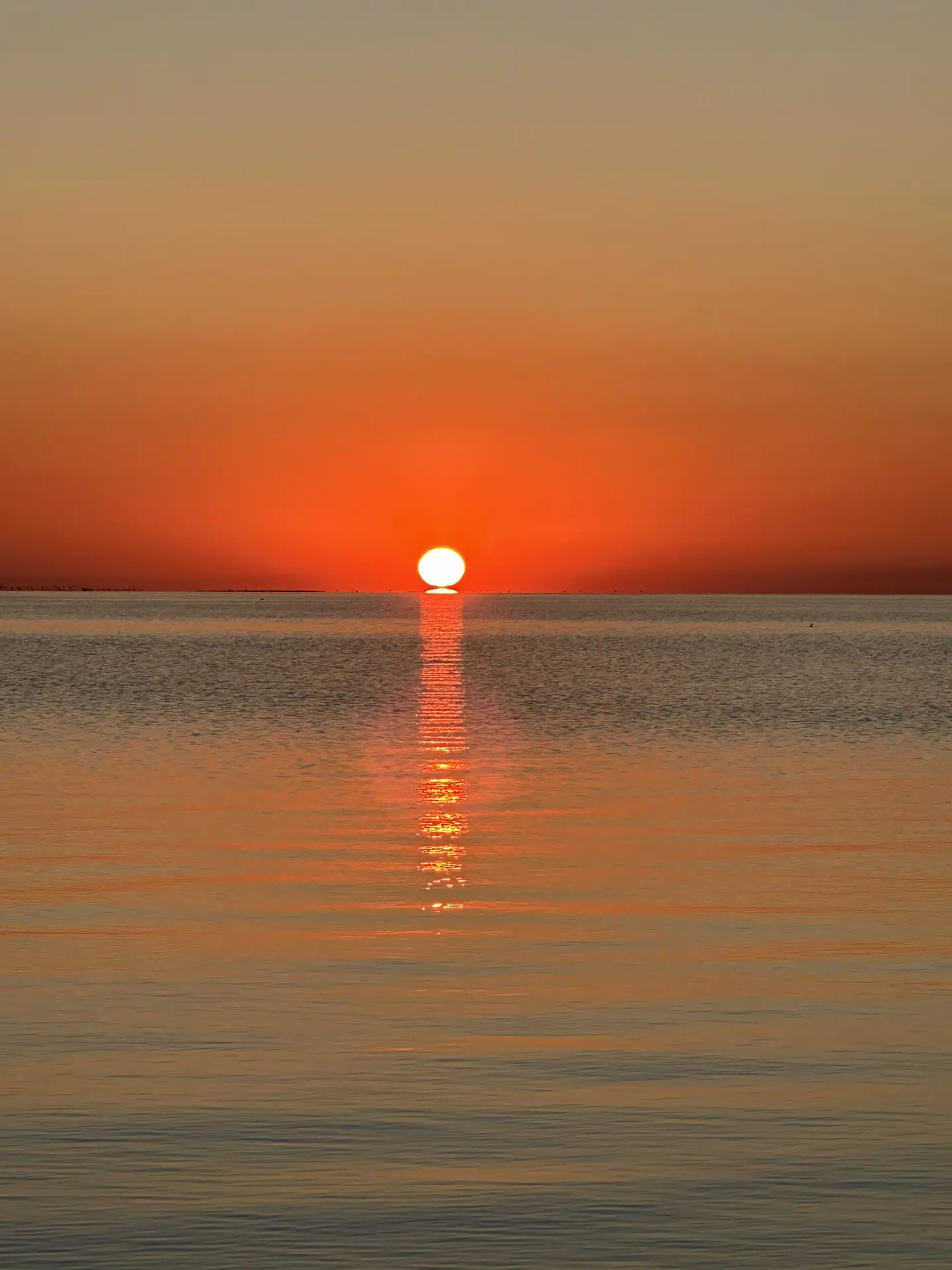 На рассвете в Ейске 🌞