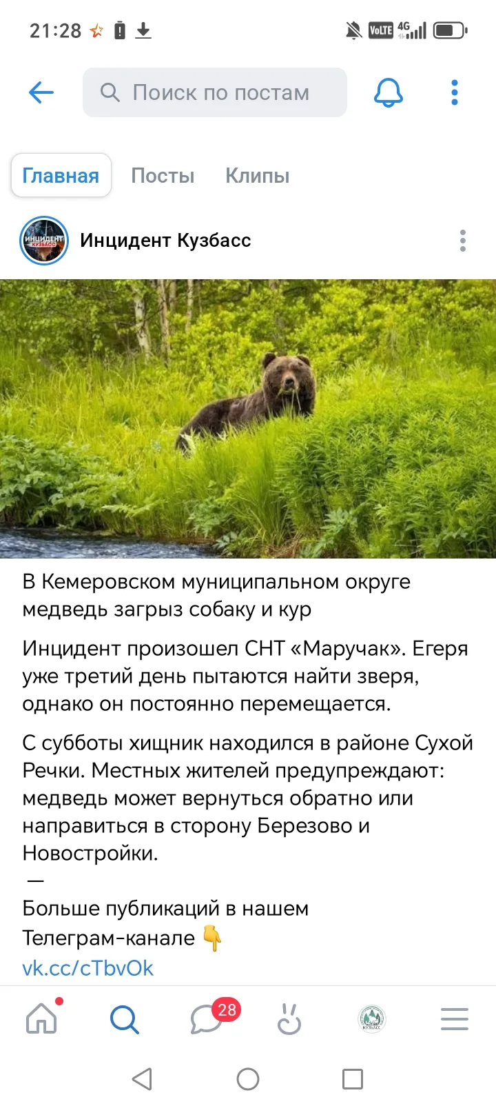 Касательно публикации о нападении медведя в СНТ «Маручак»