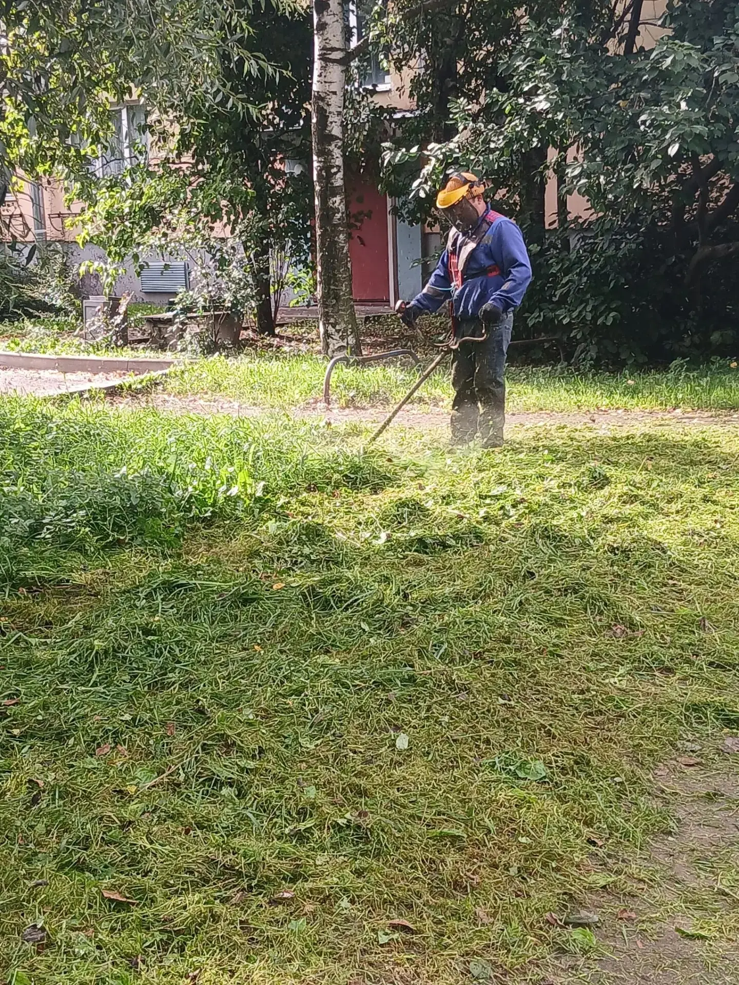 Трава решила напоследок напомнить о лете 🌿