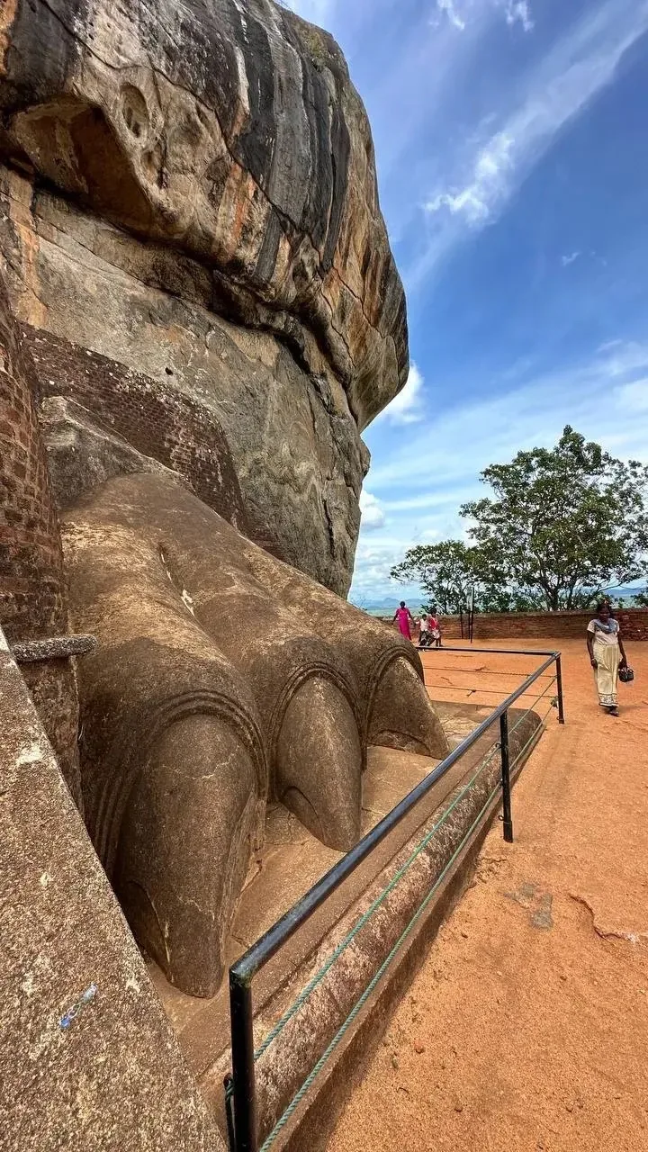 🔥Уже совсем скоро начнется ВЫСОКИЙ СЕЗОН НА ШРИ-ЛАНКЕ 🇱🇰 - на одном из востребованны...